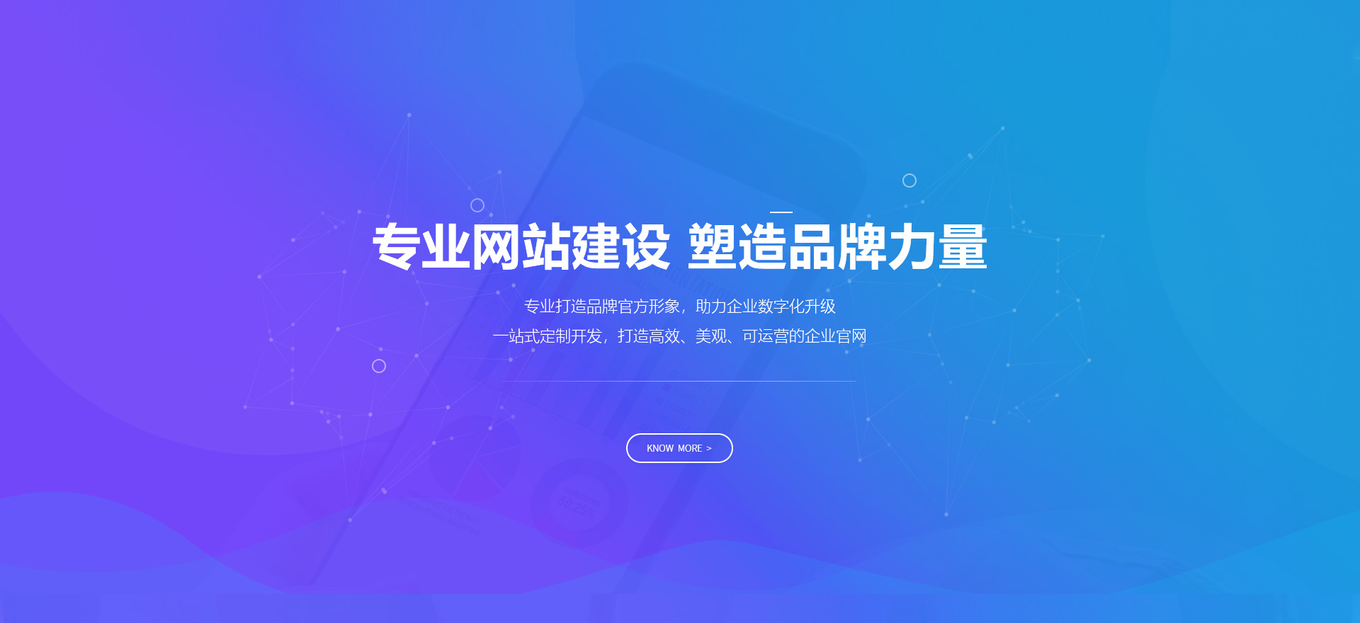 连云港建站-专业网站建设 塑造品牌力量