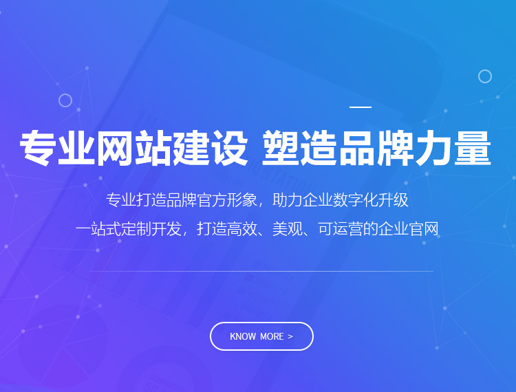 连云港建站-专业网站建设 塑造品牌力量